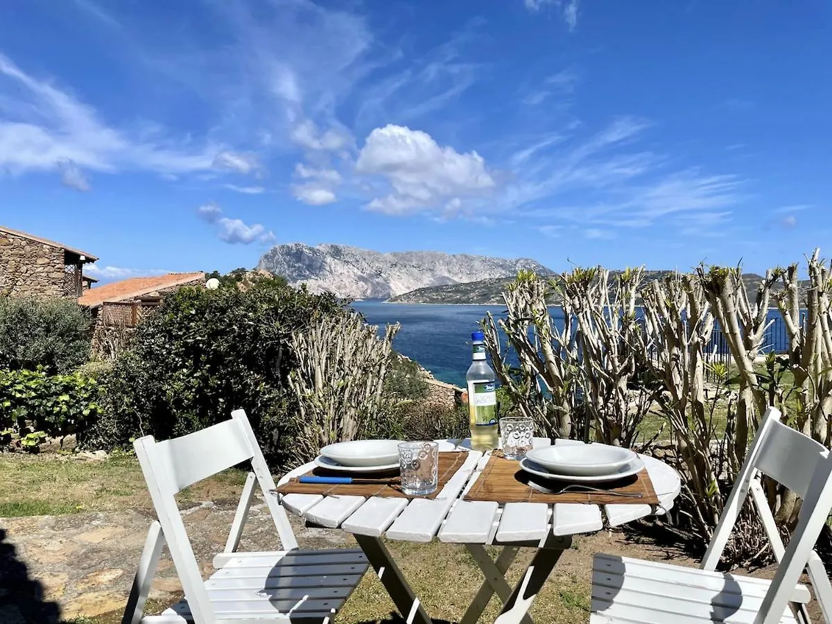 San Teodoro Punta Est Monolocale Vista Mare Lejlighed Capo Coda Cavallo 0*,  Italien