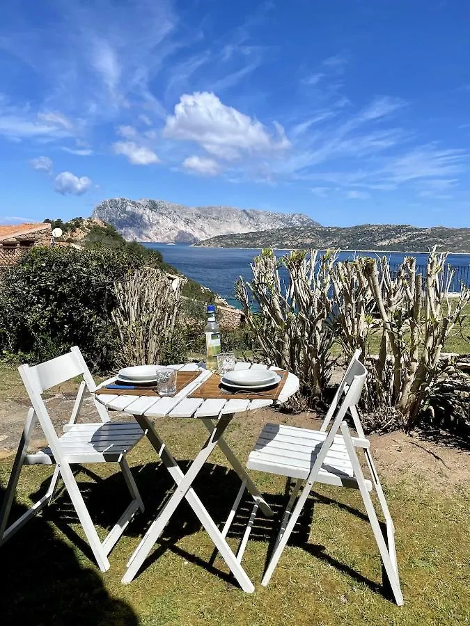Apartamento San Teodoro Punta Est Monolocale Vista Mare Capo Coda Cavallo