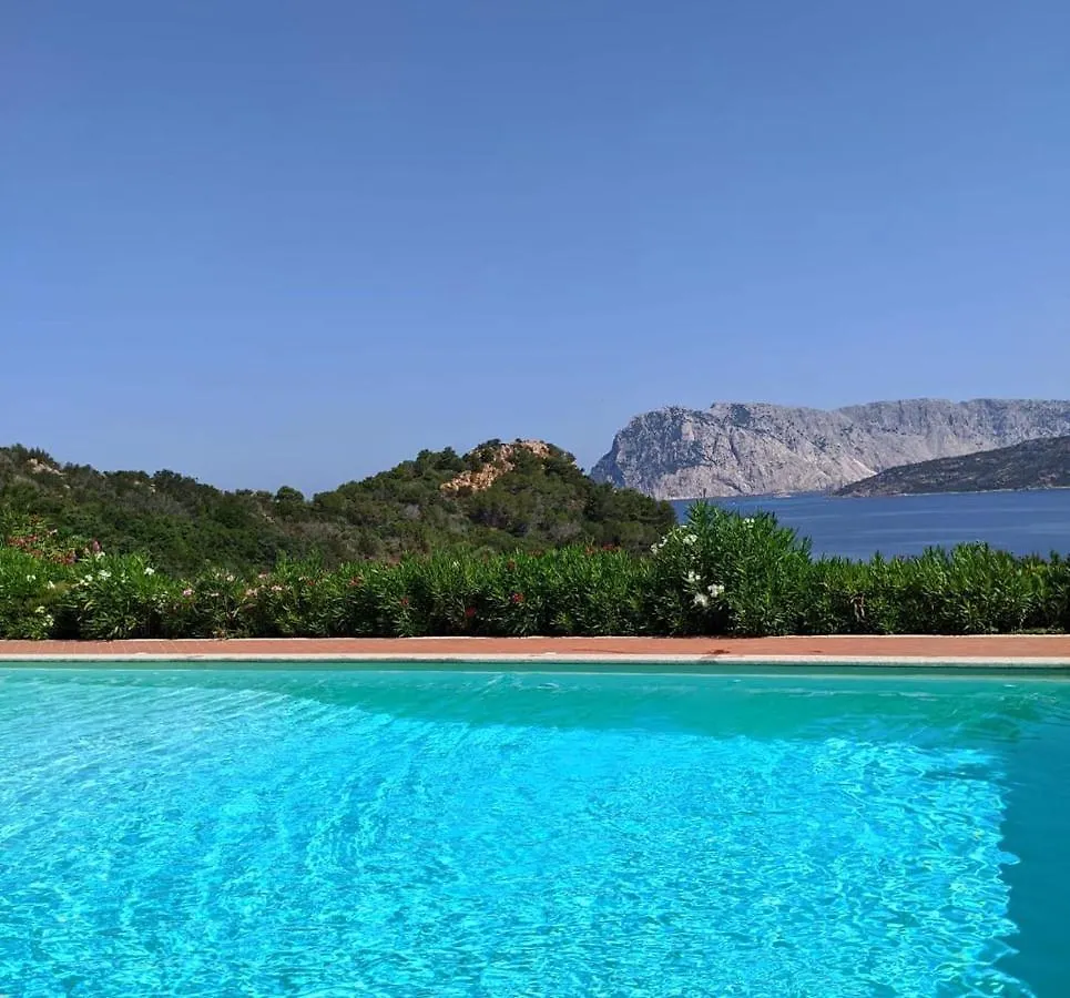 San Teodoro Punta Est Monolocale Vista Mare Lejlighed Capo Coda Cavallo Italien